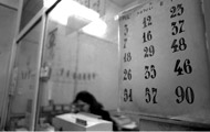 Dreaming by Numbers
